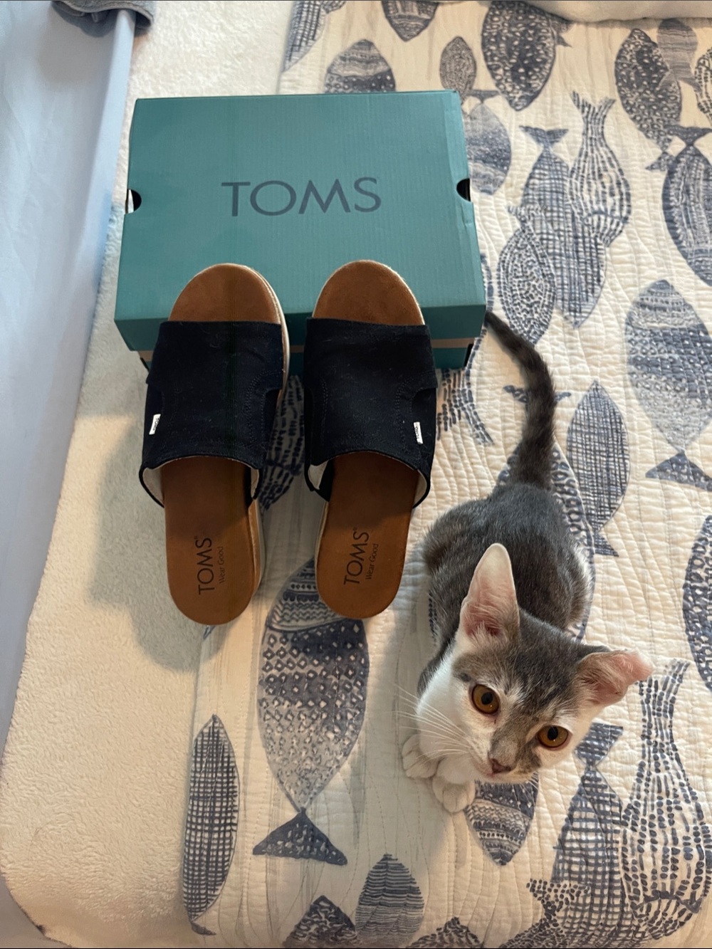 Toms Black Slide Sandals with Brown Footbed and Canvas Upper